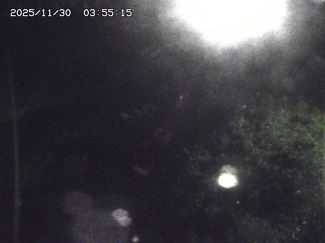 取得できませんでした