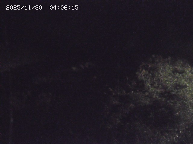 取得できませんでした