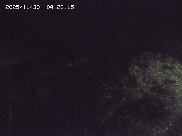 取得できませんでした