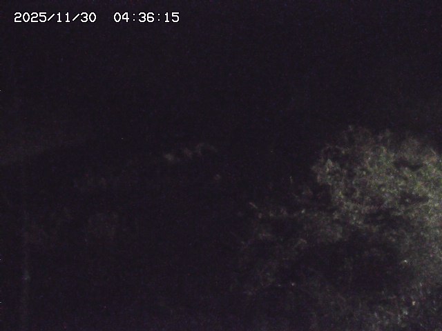 取得できませんでした