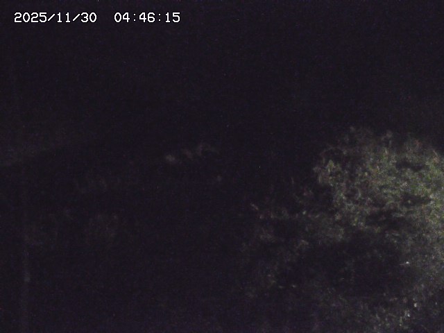 取得できませんでした