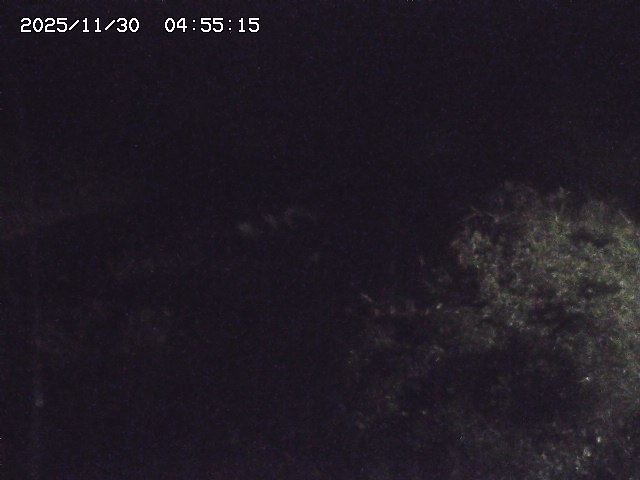 取得できませんでした