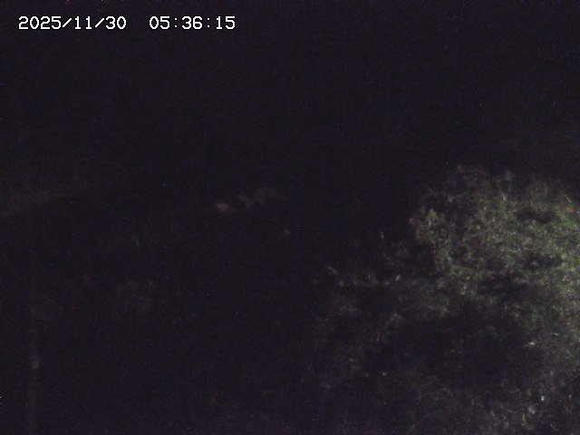 取得できませんでした