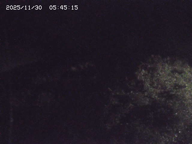 取得できませんでした