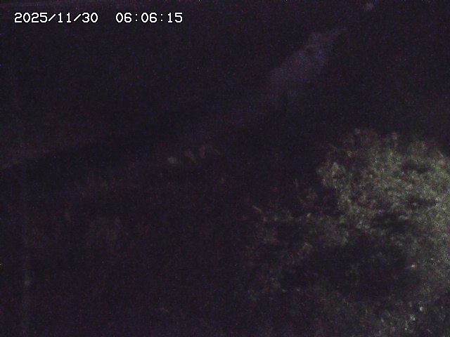 取得できませんでした