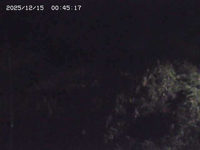 取得できませんでした