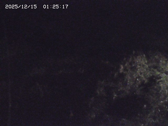 取得できませんでした