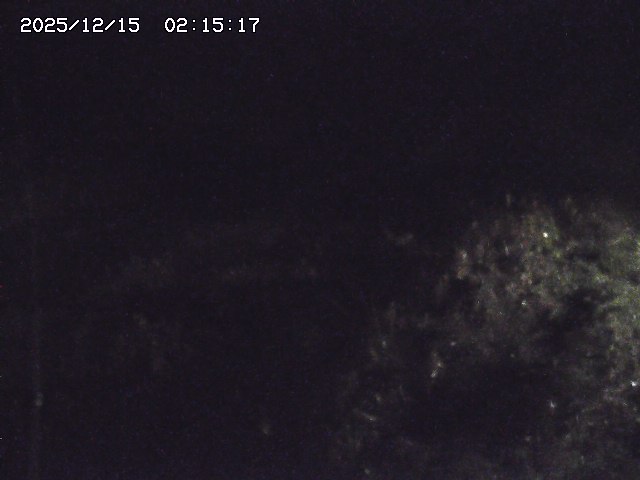 取得できませんでした