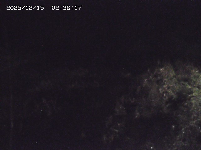 取得できませんでした