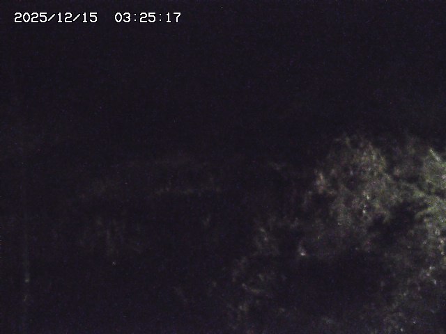 取得できませんでした