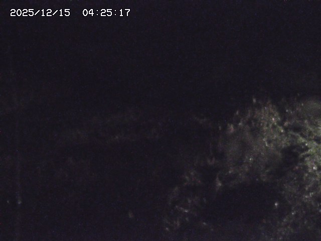 取得できませんでした