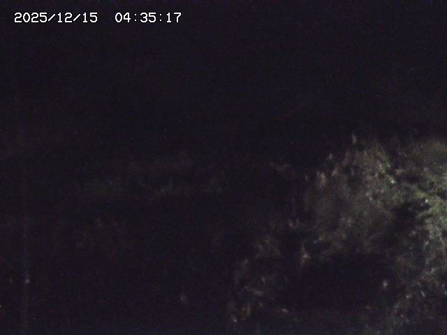 取得できませんでした