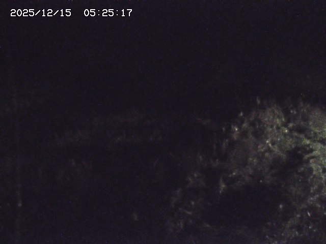 取得できませんでした