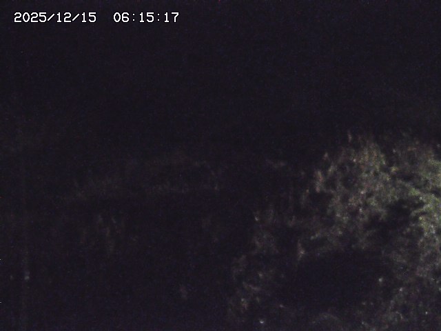 取得できませんでした