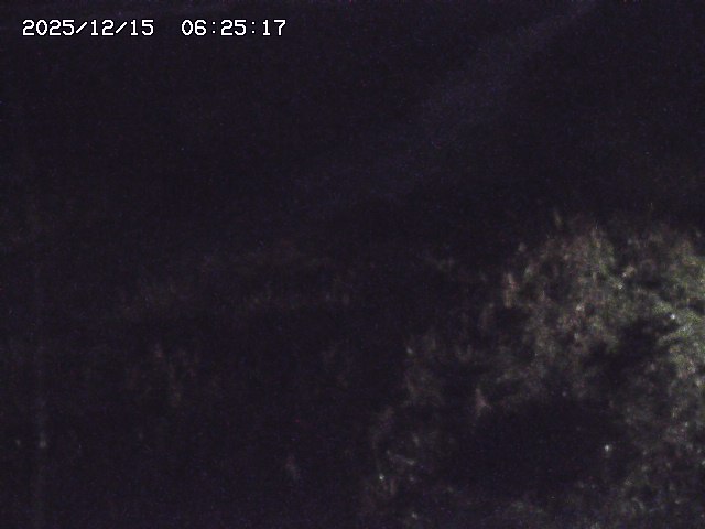 取得できませんでした