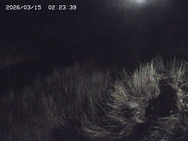 取得できませんでした