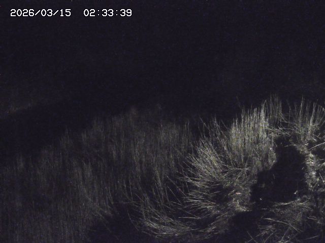 取得できませんでした