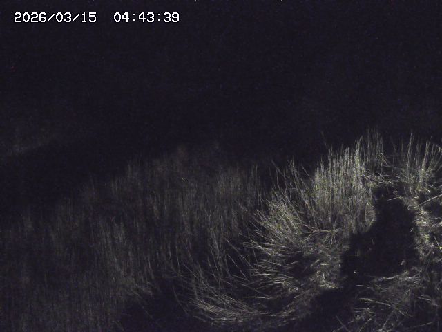 取得できませんでした