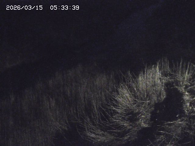 取得できませんでした