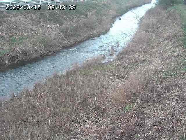 取得できませんでした