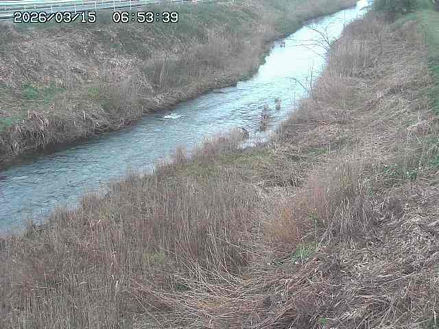 取得できませんでした