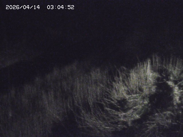 取得できませんでした