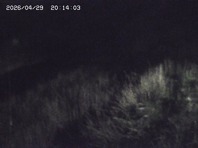 取得できませんでした