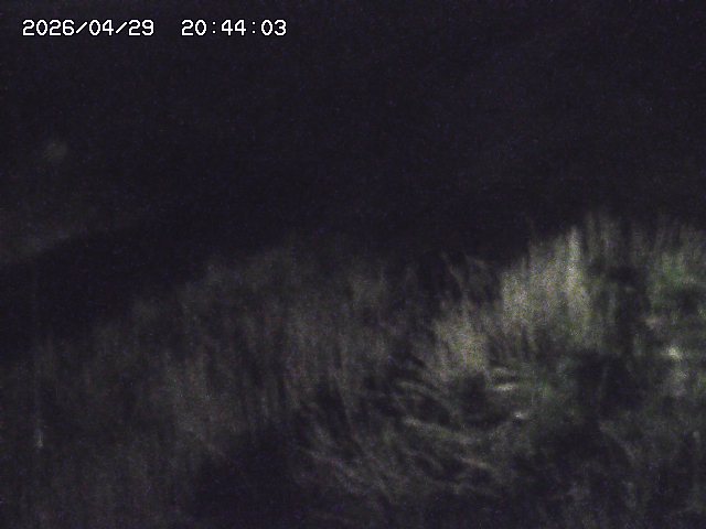 取得できませんでした