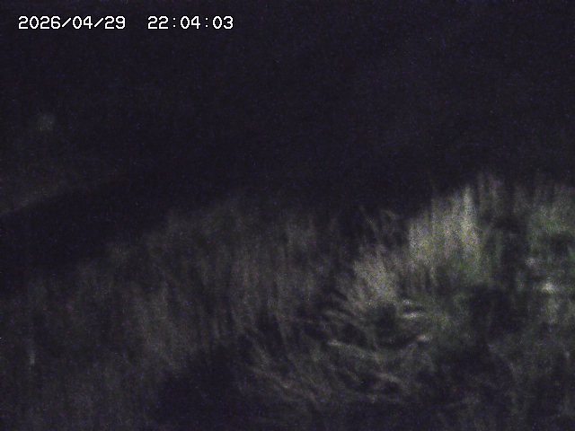 取得できませんでした