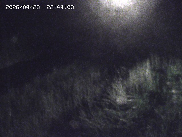 取得できませんでした