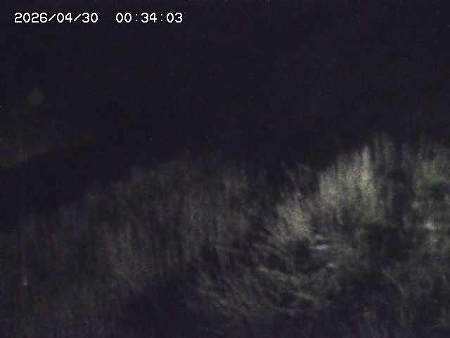 取得できませんでした