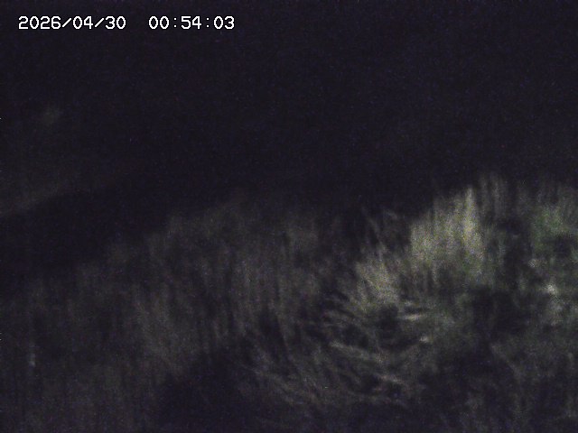 取得できませんでした