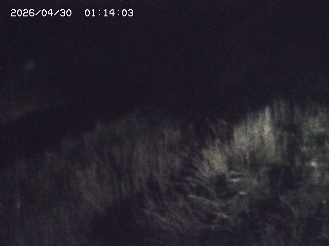 取得できませんでした