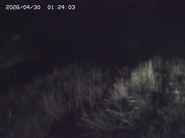 取得できませんでした