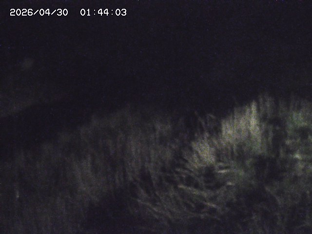 取得できませんでした