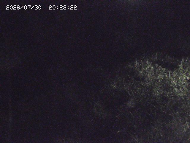 取得できませんでした
