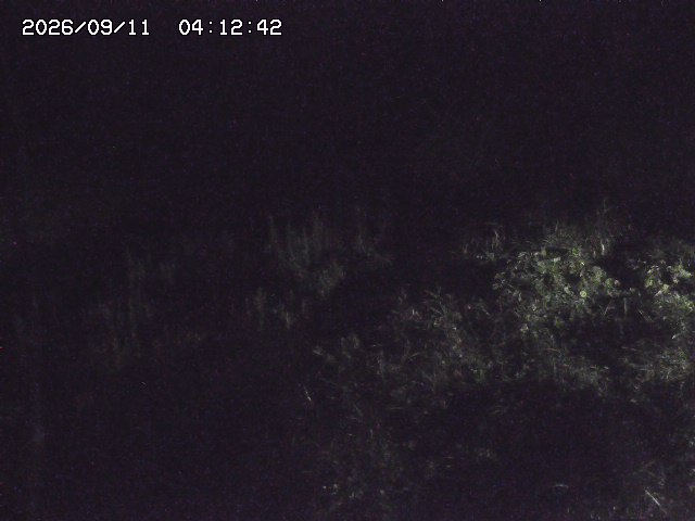 取得できませんでした