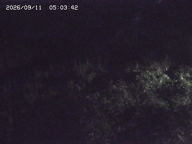 取得できませんでした