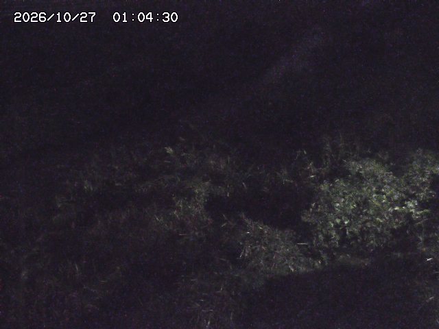 取得できませんでした