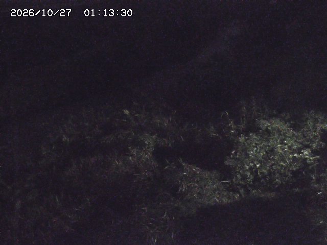 取得できませんでした