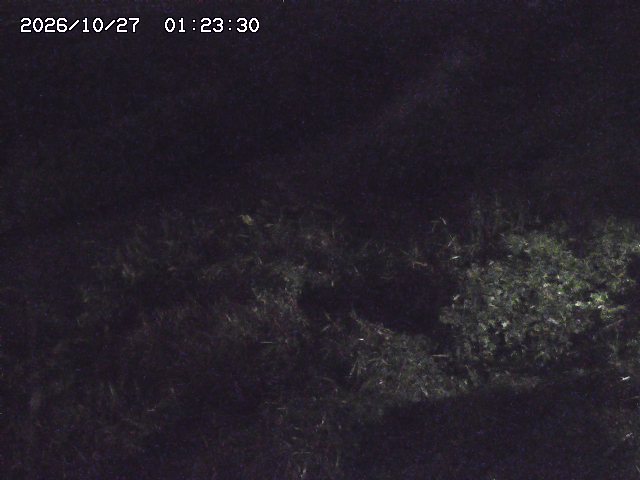取得できませんでした