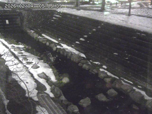 取得できませんでした