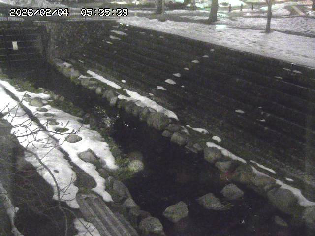 取得できませんでした