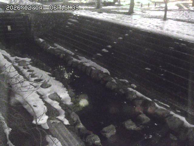 取得できませんでした