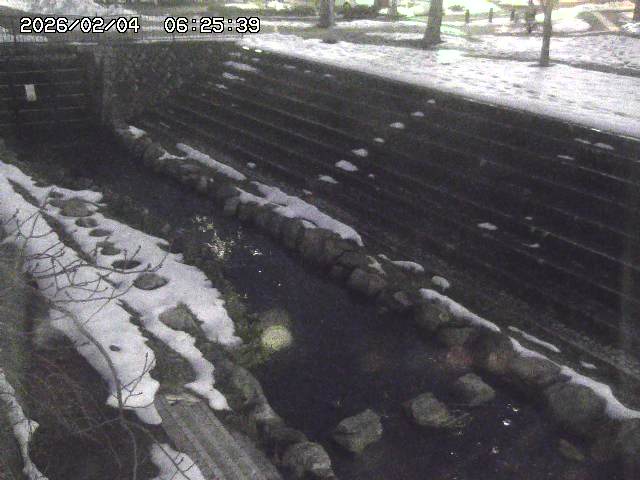 取得できませんでした