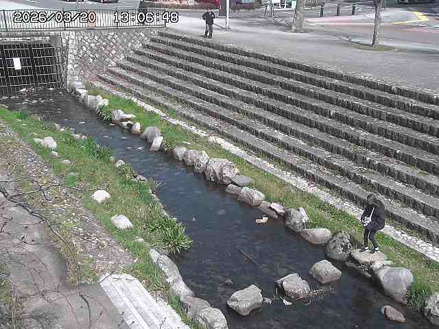 取得できませんでした