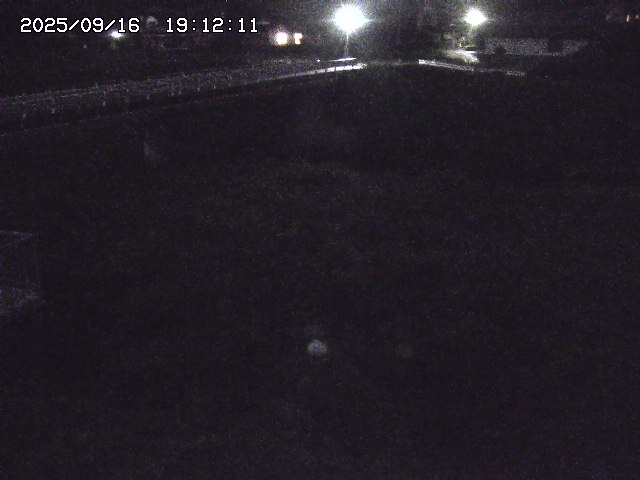 取得できませんでした