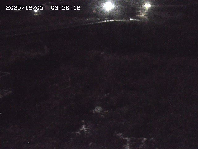 取得できませんでした