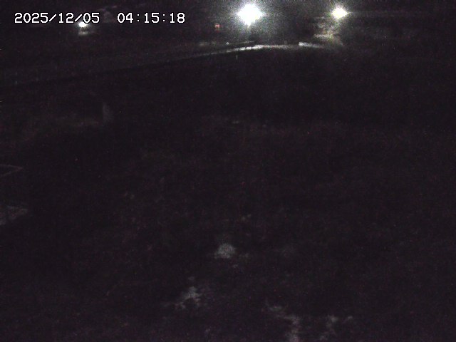 取得できませんでした