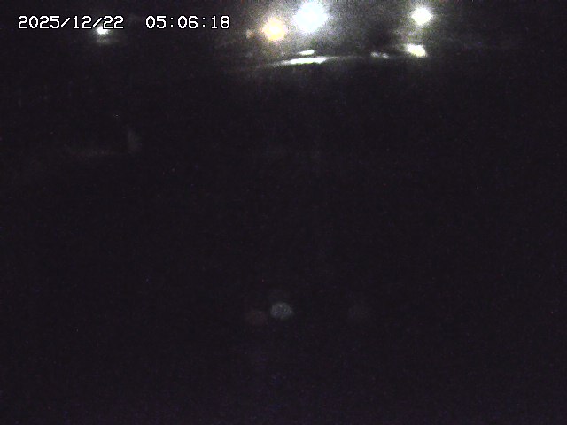 取得できませんでした